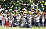 Biodegradable balloon release  - Australia