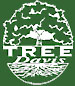 Tree Davis